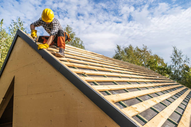 Best Roof Gutter Cleaning  in West Pleasant View, CO